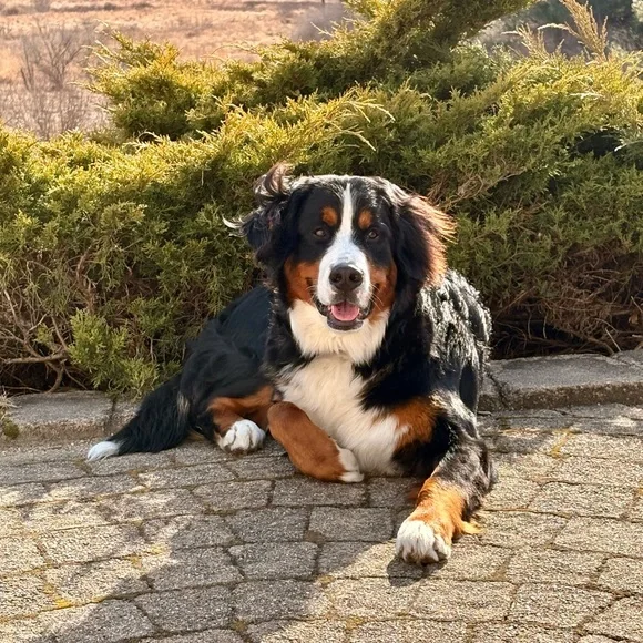 HAYLEY IS LIVE! ๐ Share Show ๐ Live Show ๐ Like to Be Notified - Picture 7 of 11